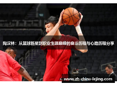 陶汉林：从篮球新星到职业生涯巅峰的奋斗历程与心路历程分享